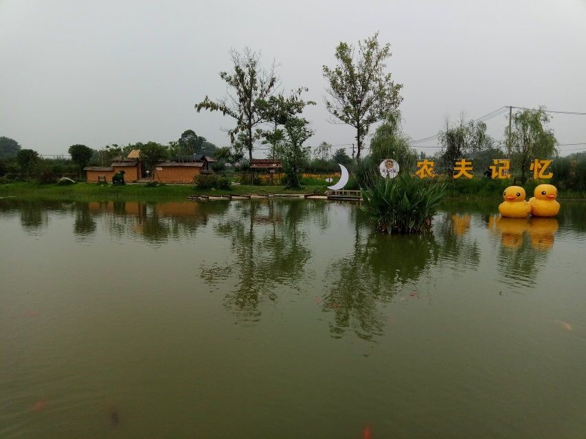 1563544865276177.jpg 8.jpg